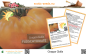Preview: Tomate * Grappa Gialla * Fleischtomate * 20 Samen